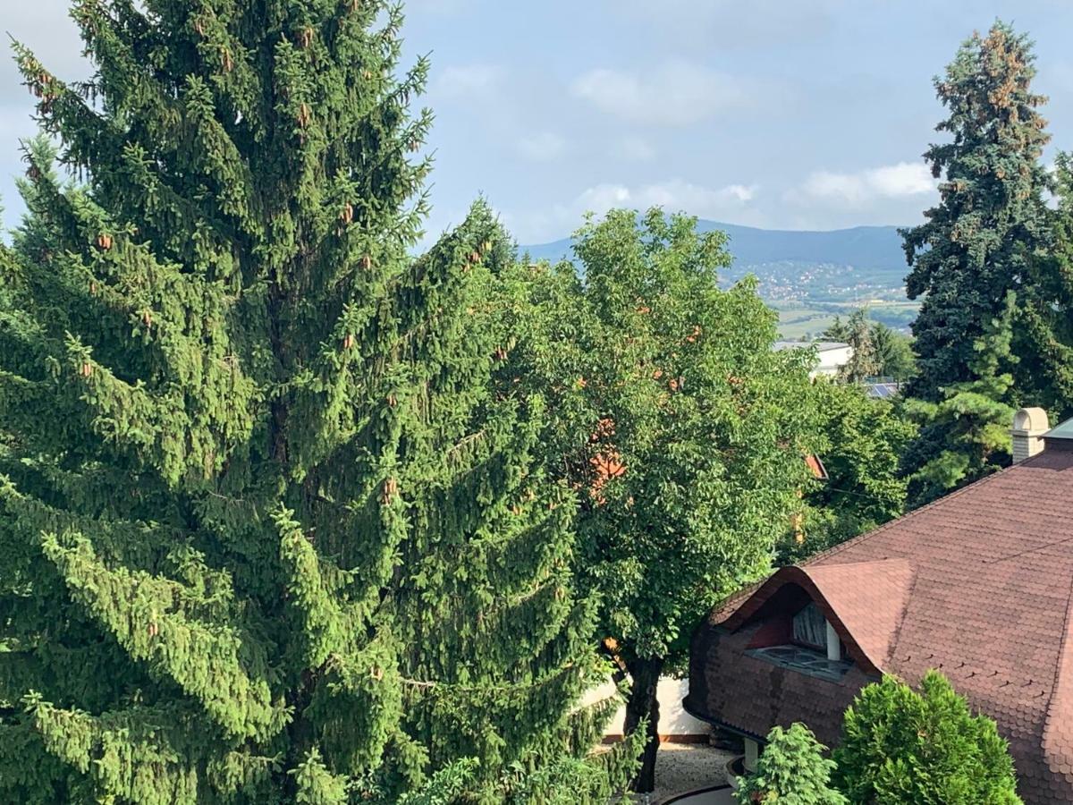 Maharaja Mountain Palace With Free Privat Parking And Garden ブダペスト エクステリア 写真