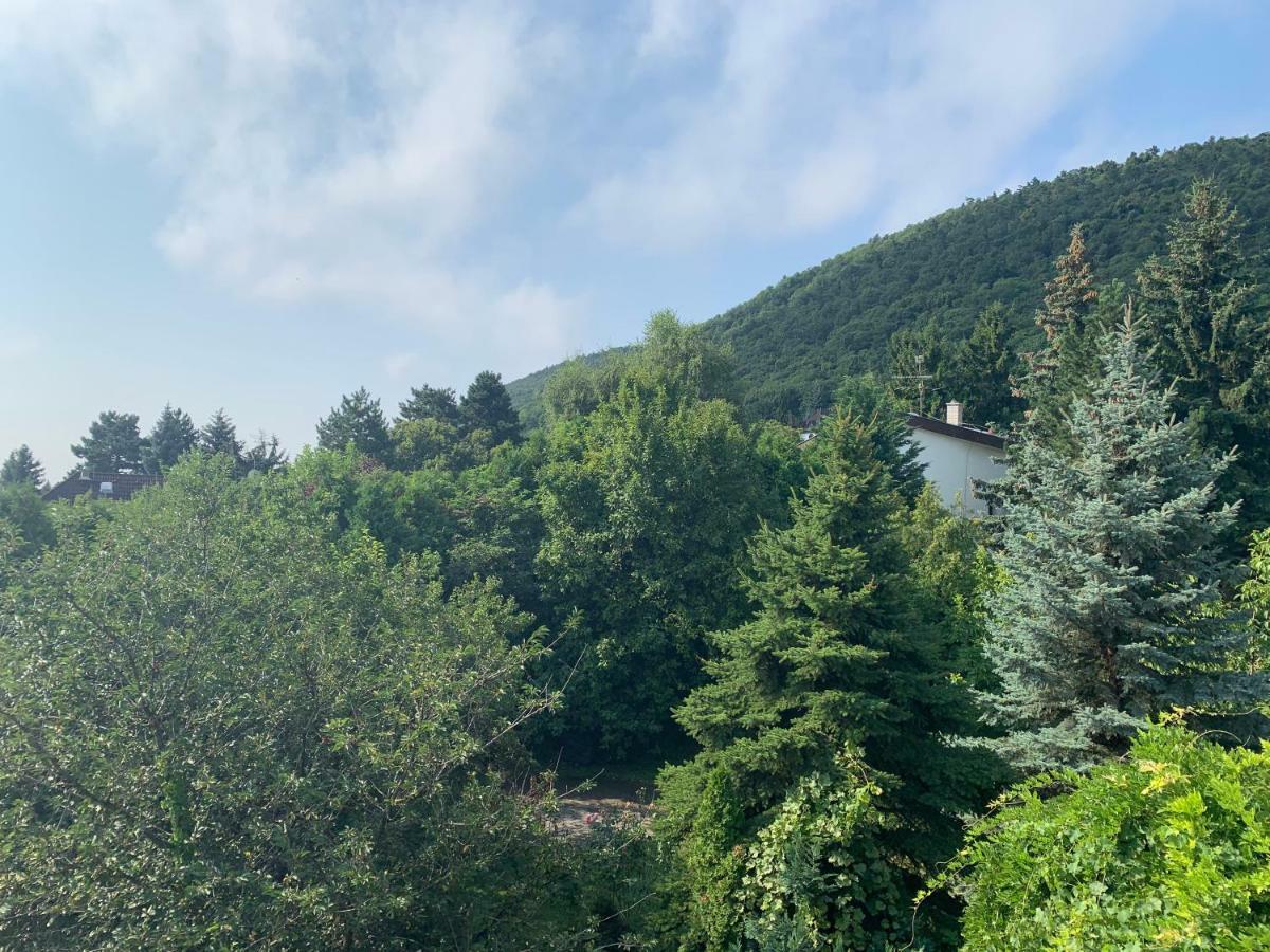 Maharaja Mountain Palace With Free Privat Parking And Garden ブダペスト エクステリア 写真